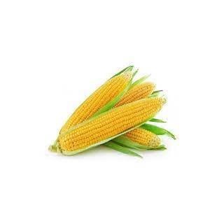 American Corn