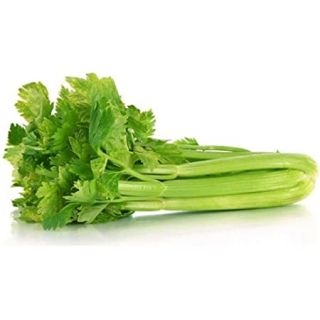 Celery