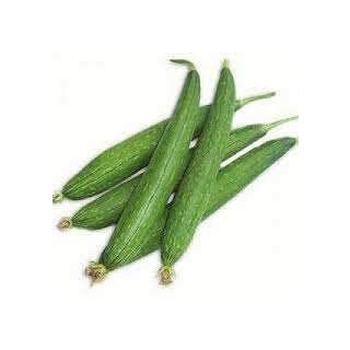 Gol Turai (Galgal)