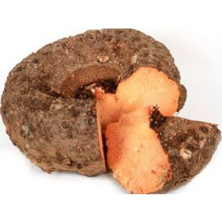 Jamikand / Yam