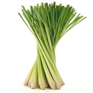 Lemon Grass