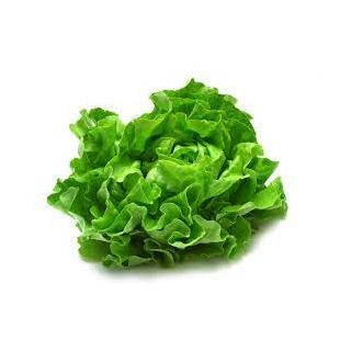 Lettuce
