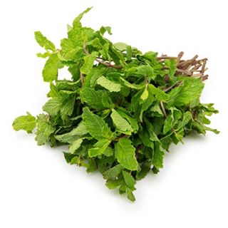 Pudina / Mint