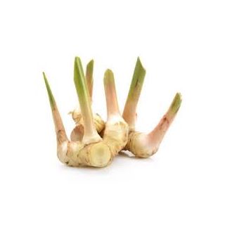 Thai Ginger