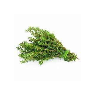 Thyme