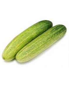 Kheera / Cucumber