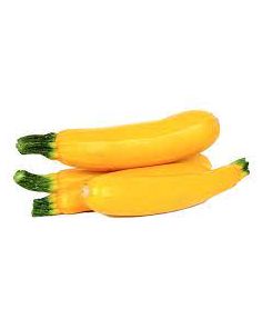 Zucchini Yellow