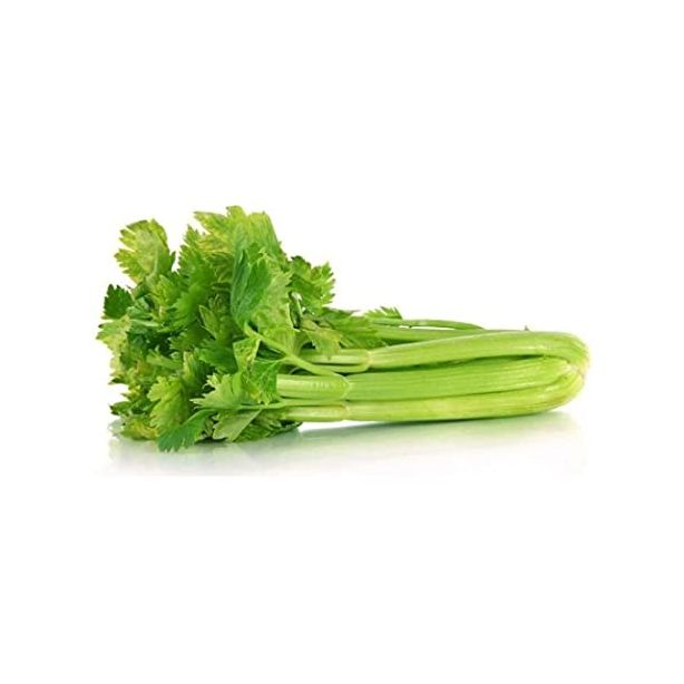 Celery