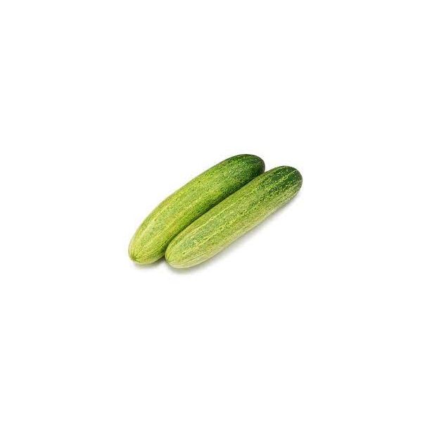 Kheera / Cucumber