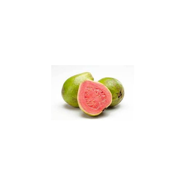 Amrood / Guava