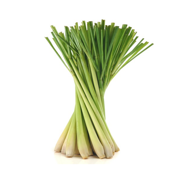 Lemon Grass