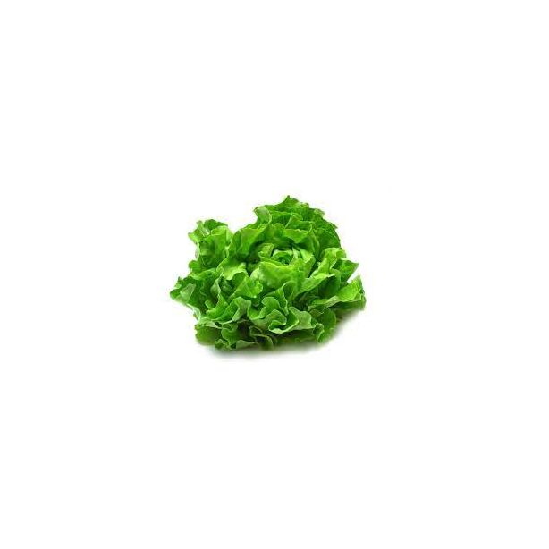 Lettuce