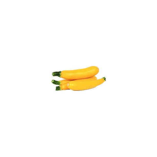 Zucchini Yellow