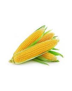 American Corn