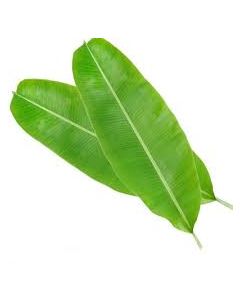 Banana Leaves