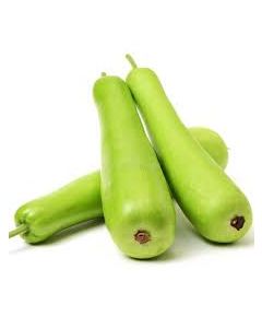 Lauki / Bottle Gourd