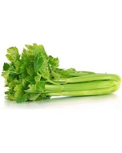 Celery