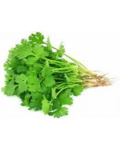 Hara Dhaniya / Coriander