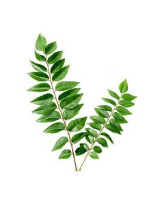 Curry Leaves