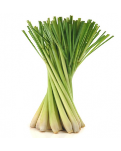 Lemon Grass