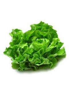 Lettuce
