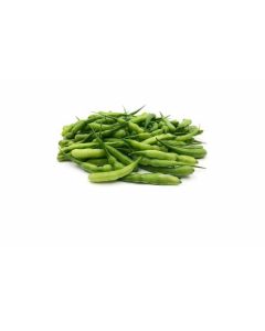 Mogri Beans