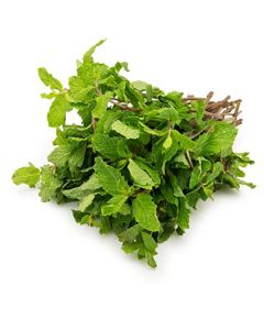 Pudina / Mint