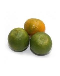 Santra / Orange
