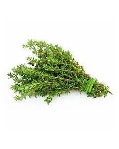 Thyme