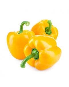 Capsicum Yellow